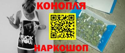 шишки Сочи