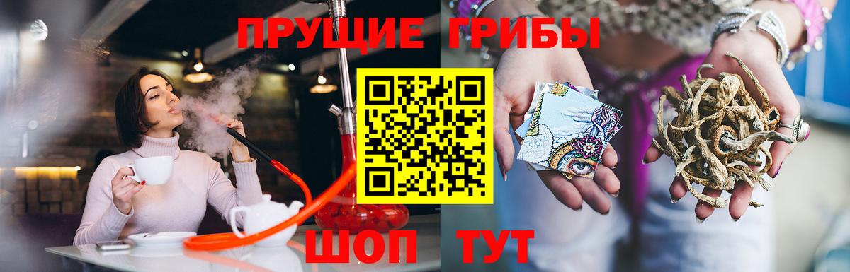 как найти   Галлюциногенные грибы Magic Shrooms  Псилоцибиновые грибы MAGIC MUSHROOMS  Вход с VPN  Йошкар-Ола 